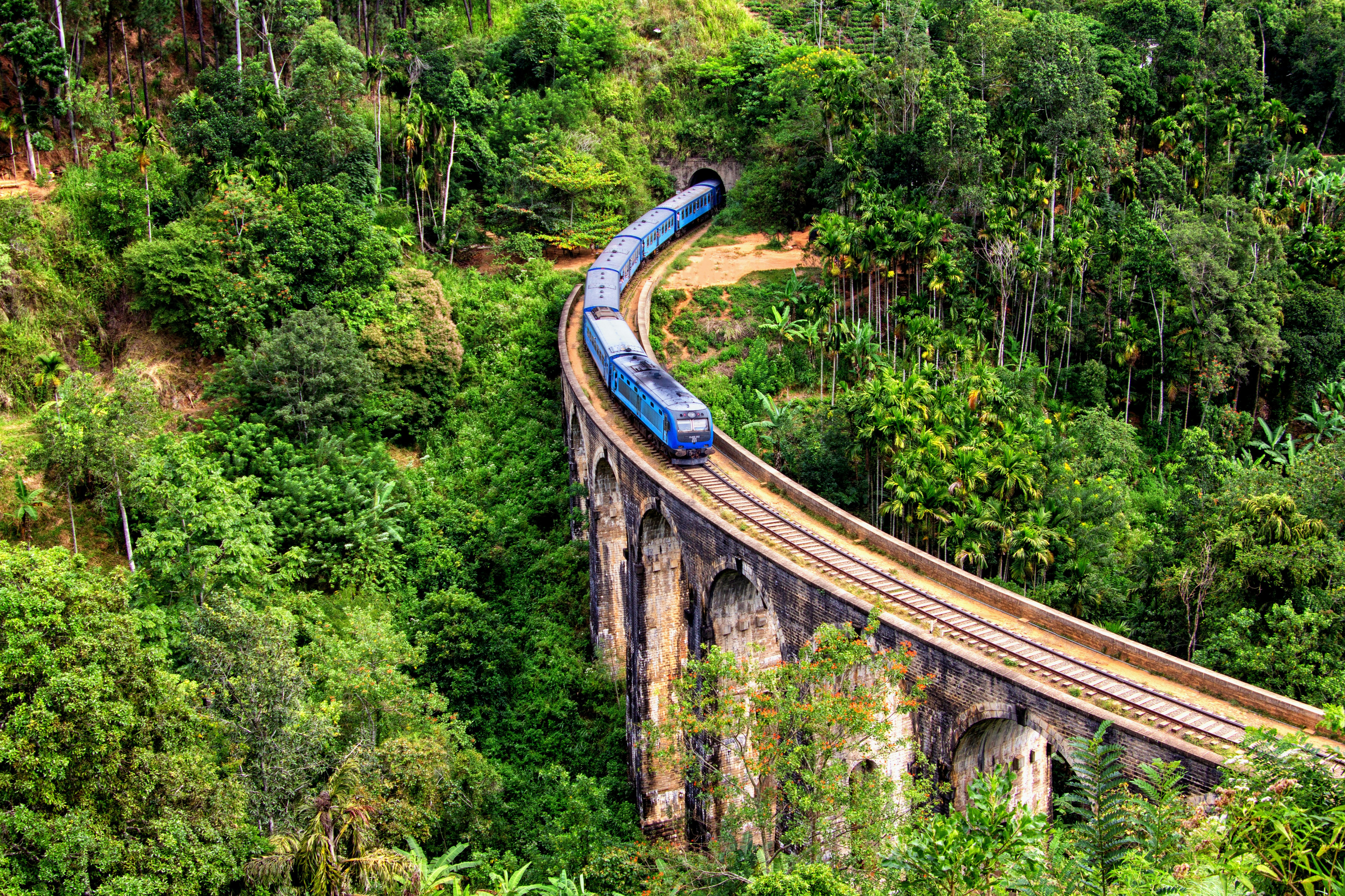 A train winding through the emerald tea highlands near Ella