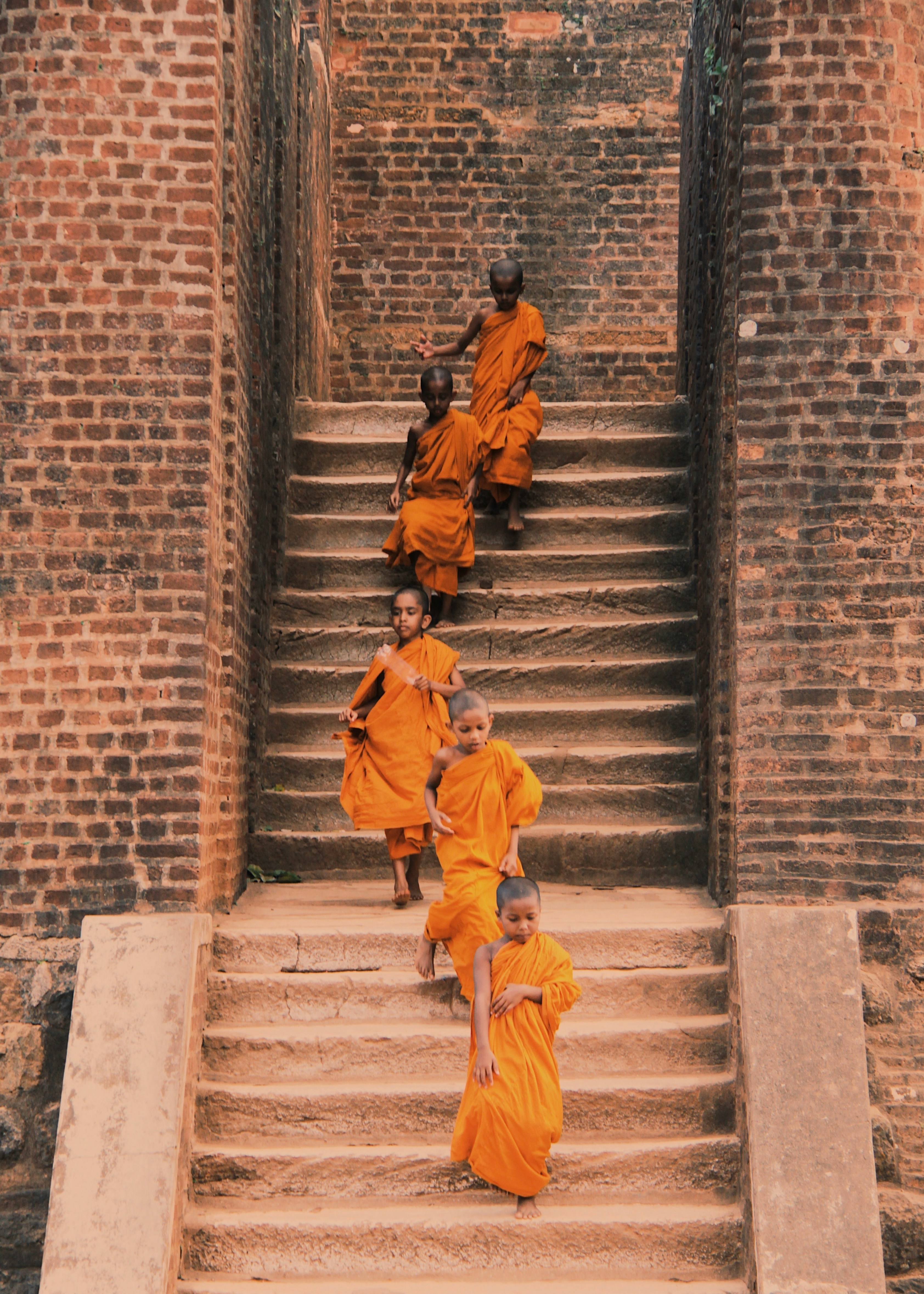 The landscapes of Sri Lanka